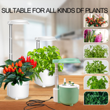 Hydroponics Growing System 6 Pods with LED Grow Light, White and Green Twins, for Home Kitchen, Height Adjustable