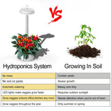 Hydroponics Growing System 6 Pods with LED Grow Light, White and Green Twins, for Home Kitchen, Height Adjustable