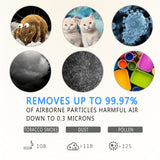 Air Purifier with True HEPA Filter & Active Carbon Filters ,PM2.5 Air Purifier for Smokers ,Effectively Filter Smoke, Virus, Pet Dander and Dust, Noise ≤40dB, Use Quietly in Home and Offices(AP20)