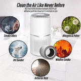 True UVC Antivirus Air Purifier with HEPA Filter & Active Carbon Filters ,Air Purifier for Smokers ,Effectively Filter Smoke, Virus, Pet Dander and Dust, Noise ≤40dB, Use Quietly in Home and Offices(AP01 Plus White)