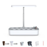 Masmire Hydroponics Growing System,Support Indoor Grow,herb Garden kit Indoor, Grow Smart for Plant, Built Your Indoor Garden (Cube 10A)