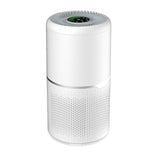 Air Purifier with True HEPA Filter & Active Carbon Filters ,PM2.5 Air Purifier for Smokers ,Effectively Filter Smoke, Virus, Pet Dander and Dust, Noise ≤40dB, Use Quietly in Home and Offices(AP20)
