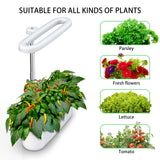 Masmire Hydroponics Growing System,Support Indoor Grow,herb Garden kit Indoor, Grow Smart for Plant, Built Your Indoor Garden (C08)