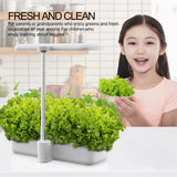 Masmire Hydroponics Growing System,Support Indoor Grow,herb Garden kit Indoor, Grow Smart for Plant, Built Your Indoor Garden (C12)