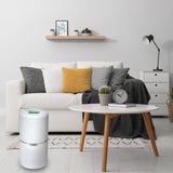 Air Purifier with True HEPA Filter & Active Carbon Filters ,PM2.5 Air Purifier for Smokers ,Effectively Filter Smoke, Virus, Pet Dander and Dust, Noise ≤40dB, Use Quietly in Home and Offices(AP20)