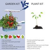 Masmire Hydroponics Growing System,Support Indoor Grow,herb Garden kit Indoor, Grow Smart for Plant, Built Your Indoor Garden (Cube 10A)