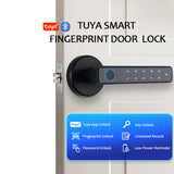 Smart Lock Door