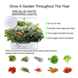Hydroponics Growing System,Support Indoor Grow,herb Garden kit Indoor, Grow Smart for Plant, Built Your Indoor Garden (S12A)
