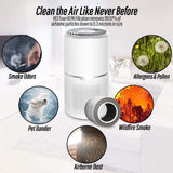 True UVC Antivirus Air Purifier with HEPA Filter & Active Carbon Filters ，Air Purifier for Smokers ,Effectively Filter Smoke, Virus, Pet Dander and Dust, Noise ≤40dB, Use Quietly in Home and Offices(AP01 Plus White)