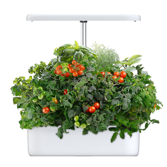 Masmire Hydroponics Growing System,Support Indoor Grow,herb Garden kit Indoor, Grow Smart for Plant, Built Your Indoor Garden (C08)