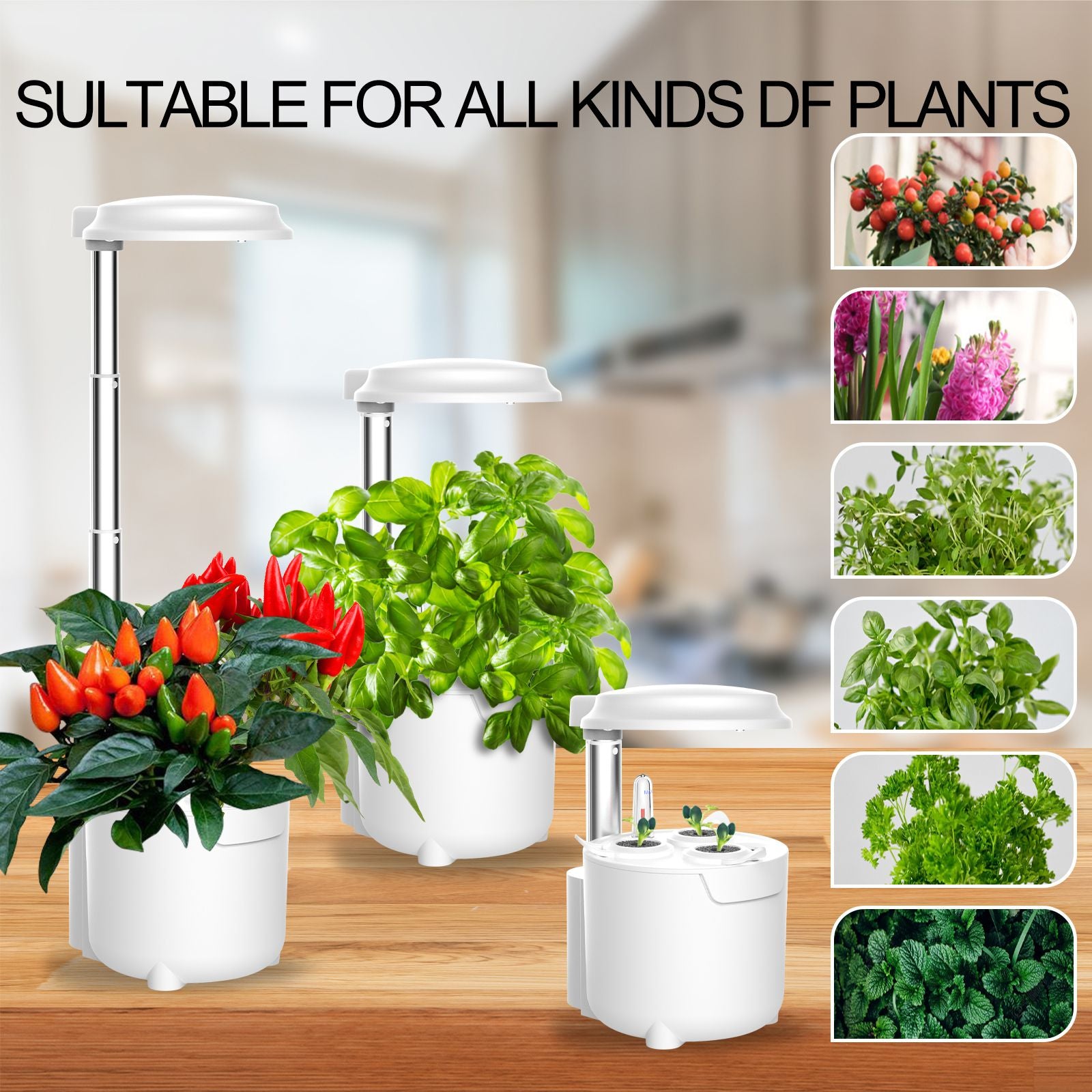 Hydroponics Growing System, Mini Indoor Hydroponic Garden with Grow Li –  MasMire