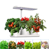 Masmire  Soil Growing System,Support Indoor Grow,herb Garden kit Indoor, Grow Smart for Plant, Built Your Indoor Garden (G02)